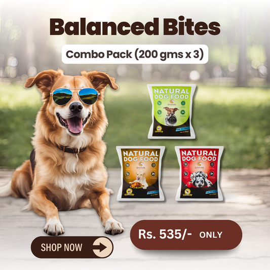 Balanced Bites - (Easy Starter Combo - 3 x 200g)