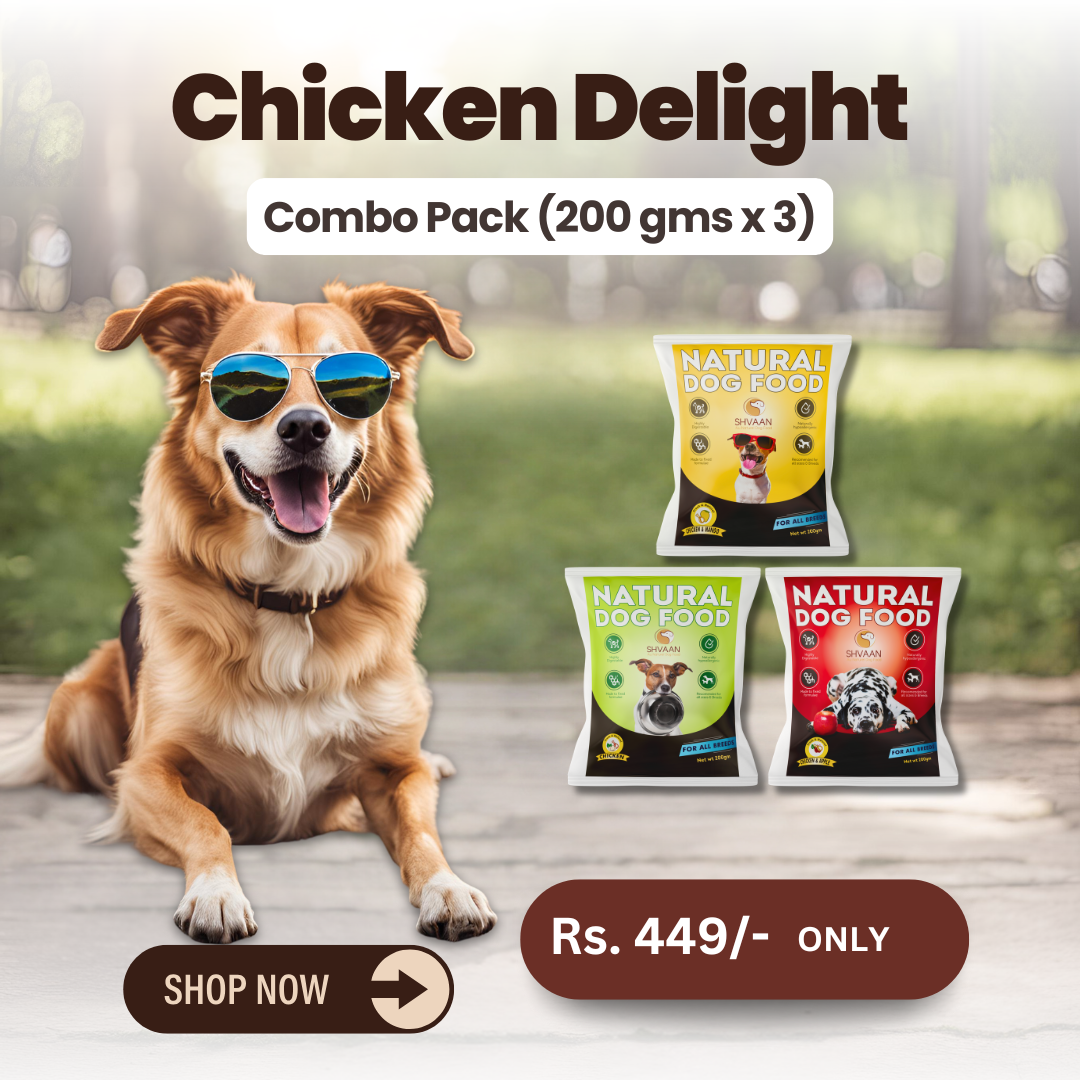 Chicken Delight - (Easy Starter Combo - 3 x 200g)