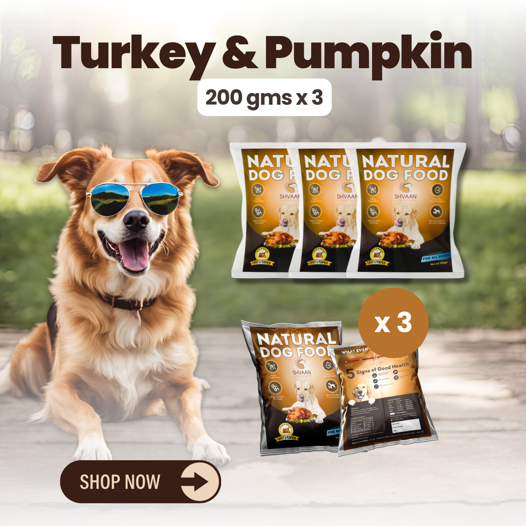 Turkey and Pumpkin wet dog food 3 pack – bulk combo offer -lean human-grade recipe by Shvaan Foods