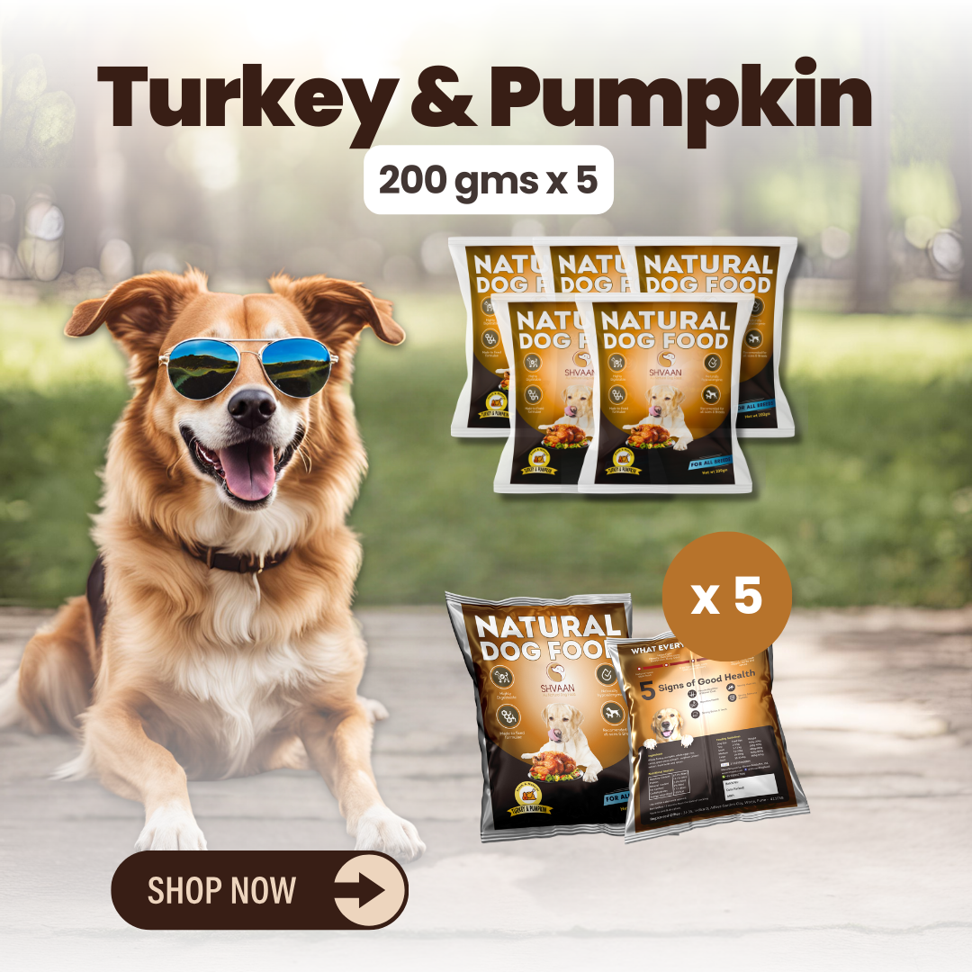 Turkey and Pumpkin wet dog food 5 pack – bulk combo offer -lean human-grade recipe by Shvaan Foods