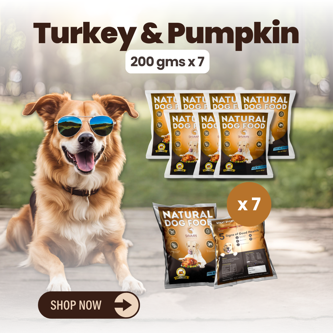 Turkey and Pumpkin wet dog food 7 pack – bulk combo offer -lean human-grade recipe by Shvaan Foods