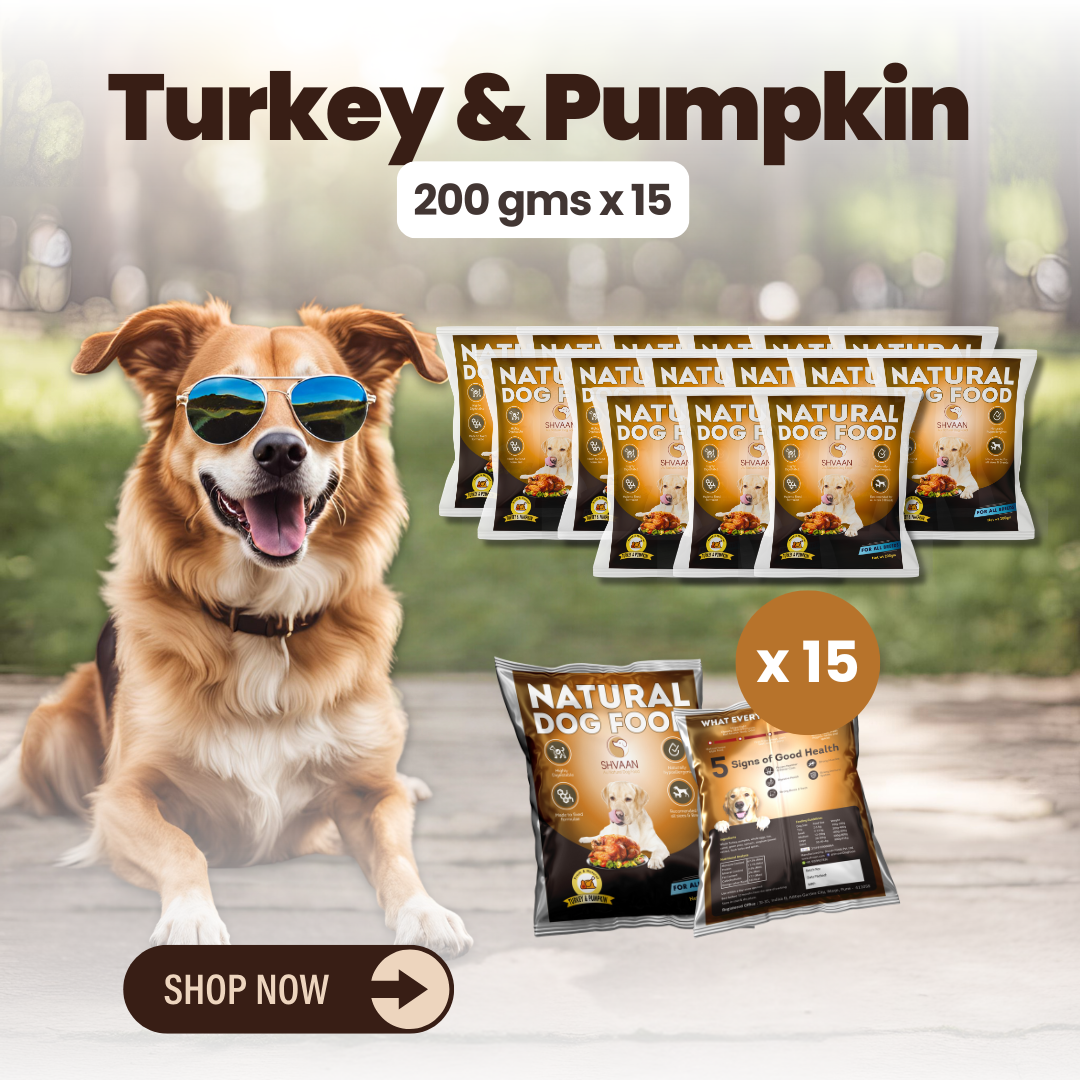 Turkey and Pumpkin wet dog food 15 pack – bulk combo offer -lean human-grade recipe by Shvaan Foods