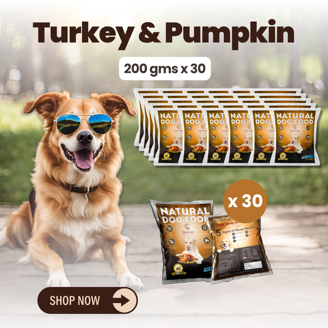 Turkey and Pumpkin wet dog food 30 pack – bulk combo offer -lean human-grade recipe by Shvaan Foods