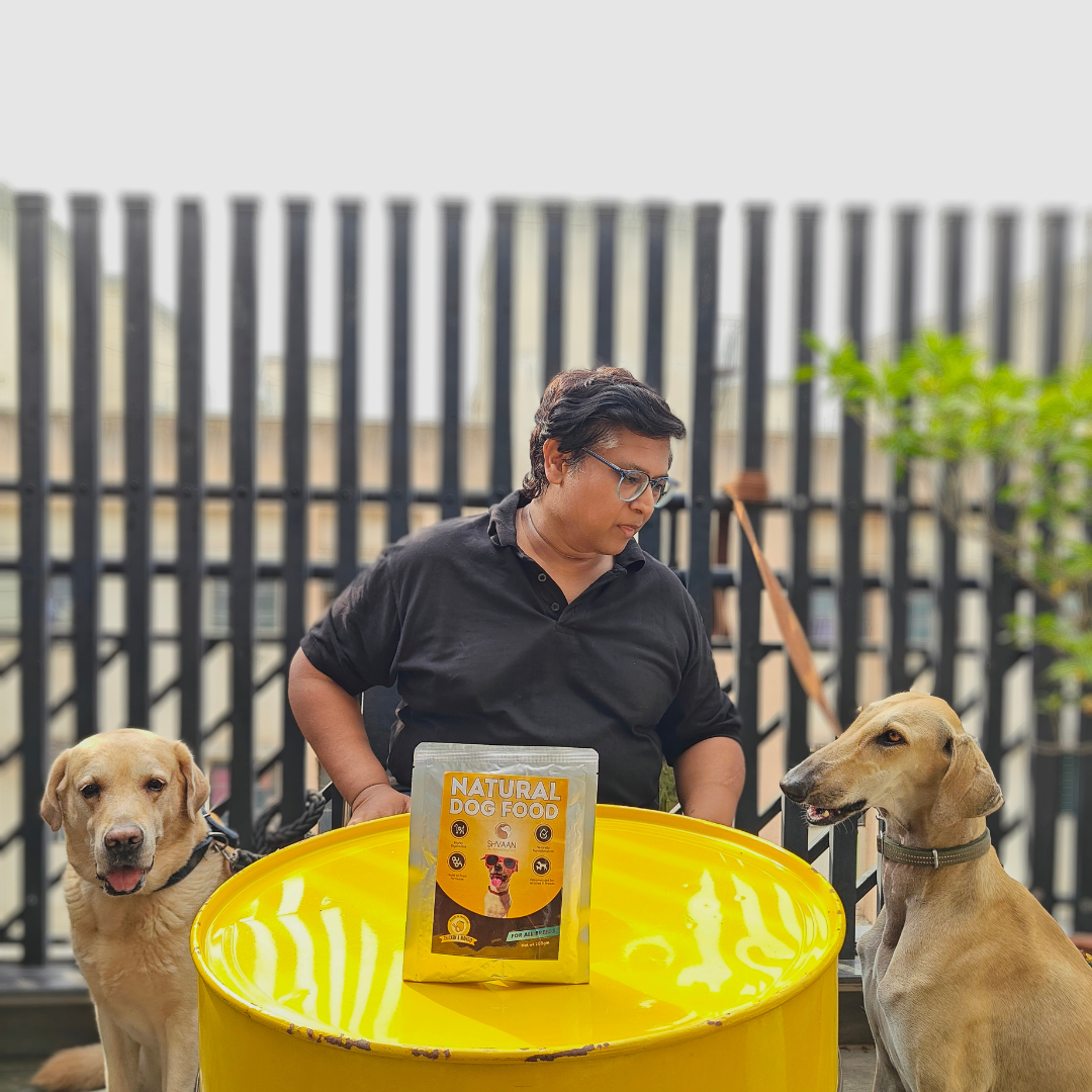Chicken and Mango - Wet Dog Food 200g