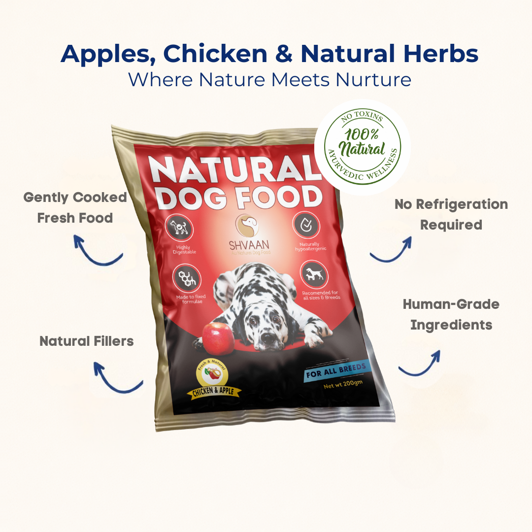 Chicken and Apple - Fresh Human-Grade Wet Dog Food 200 g