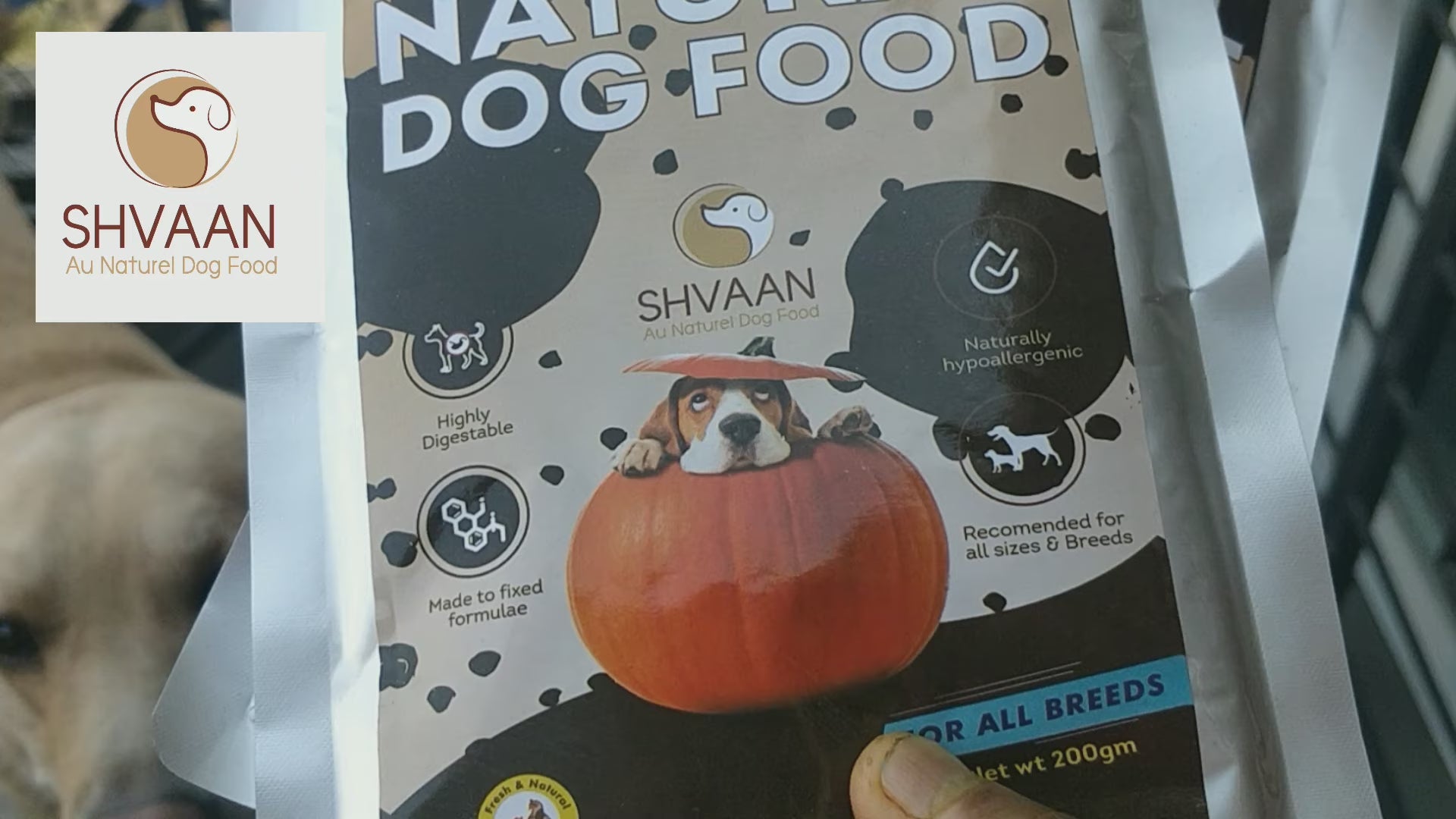 Quail and Pumpkin wet dog food 200 g - gentle human-grade recipe by Shvaan Foods