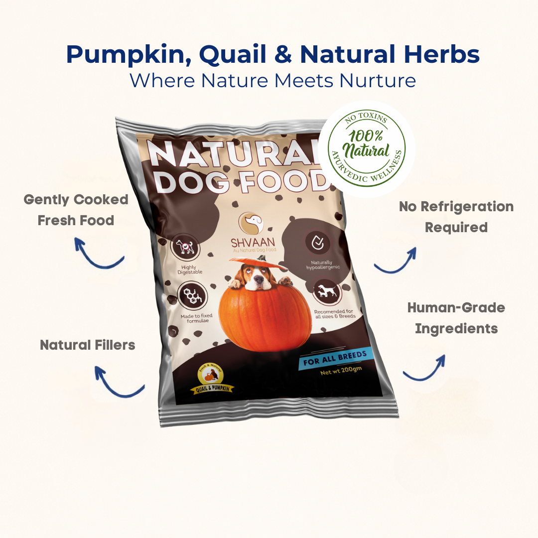 Quail and Pumpkin - Fresh Human-Grade Wet Dog Food 200 g